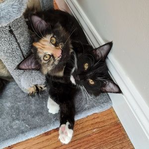 Meet your Posher, Grant